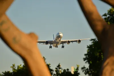 DSC_5745 (Large).JPG